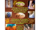 animation-henne-marseille